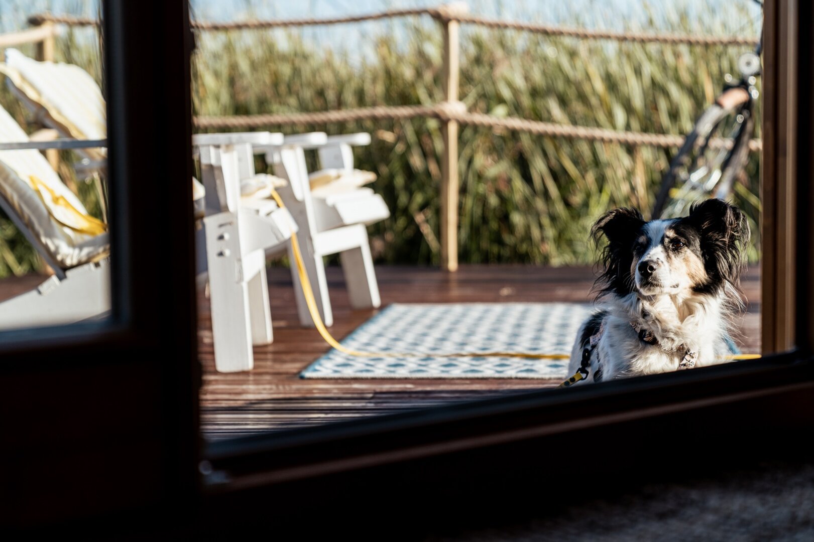 PSTRĄGOWO GRZEGORZ JAKIMIAK - 5